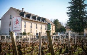 Image of Logis Hotel Les Grands Crus