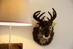 Image of Tauern Apartment Schrempf - Anna