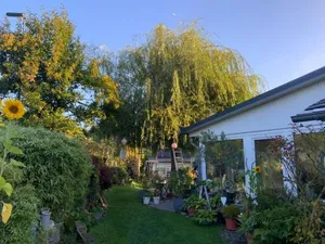 Image of Villa Jani b&b