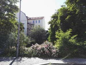 Image of Amsterdam-Einraumwohnung