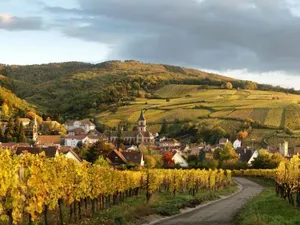 Image of Gîte Au Coeur De Ribeauvillé