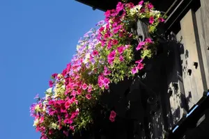 Image of Hotel Rösslwirt