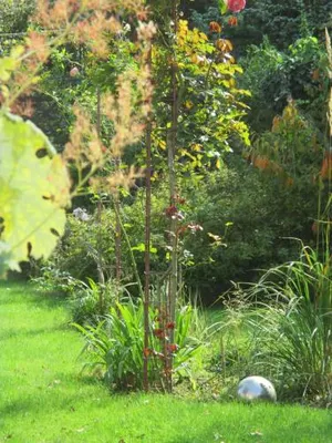 Image of Le Clos De L'Abbaye