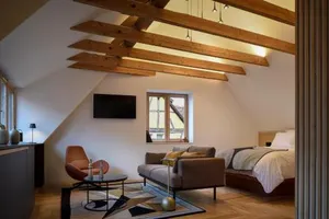 Image of Rive Petite Venise Appartement Luxe - Centre Ville Colmar - Clim, Ascenseur & possibilité Parking