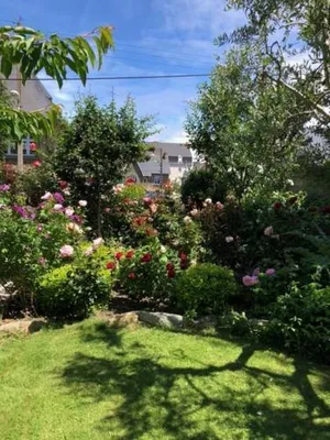 Image of Villa Fleurette