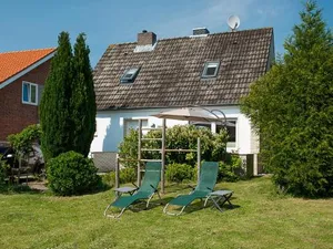 Image of Lütthus - Pelzi