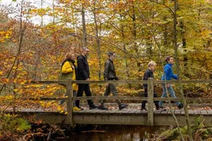 Image of Bungalowpark Het Verscholen Dorp