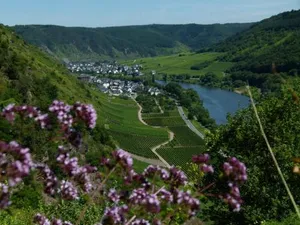 Image of Ferienweingut Rudorfer