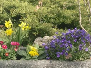 Image of Hotel Spitze Warte