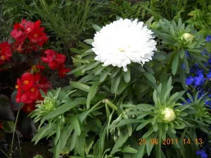 Image of Gästehaus Maria