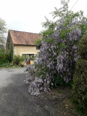 Image of halte aux places