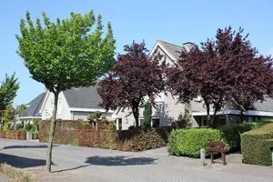 Image of Magnolia appartement