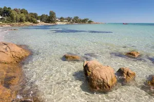 Image of Calm Waters