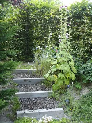 Image of Au Coquelicot