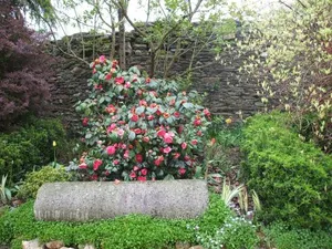 Image of La Haye