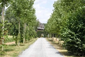 Image of B&B La Ferme de l'Hosté