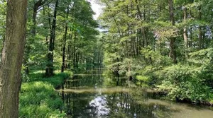 Image of Spreewald Spreemilia Gurkenbude