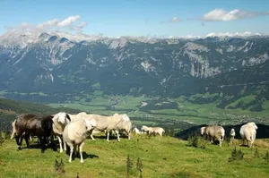 Image of Landhotel Kolb