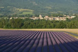 Image of Appartement entre Sisteron et Gorges de la Méouge " Les Hauts de Toscane "