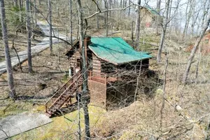 Image of Smoky's Paradise