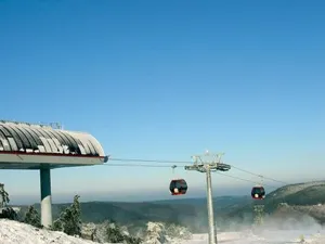 Image of Apartment Central