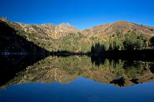 Image of Alpenhotel & Aparthotel Lanz