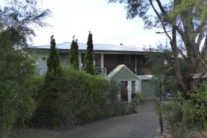 Image of Sea Banksia