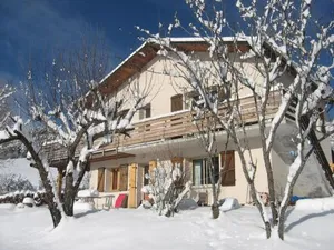 Image of Les Elfes