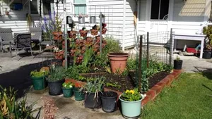 Image of Carisbrook Cottage Queenscliff