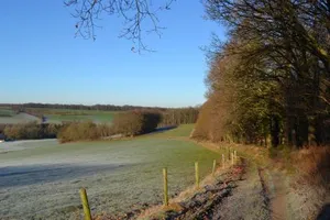 Image of Holiday home Elena