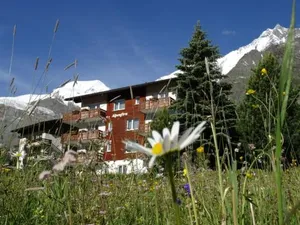Image of Apartments Alpenfirn Saas-Fee
