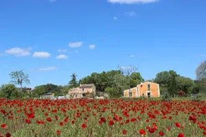 Image of Maison Abricot et Orange