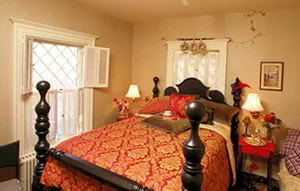 Image of The Bohemian Bed & Breakfast