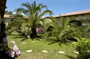 Image of Hôtel Pineto