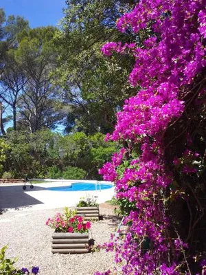 Image of Appartement dans Villa St Raphael