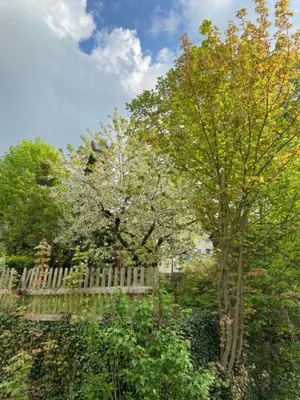 Image of Ferienwohnung Elias