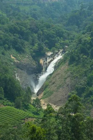 Image of Aranyaka Resorts