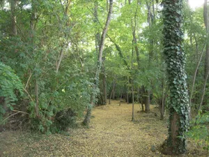 Image of La Gaulie Les Gites