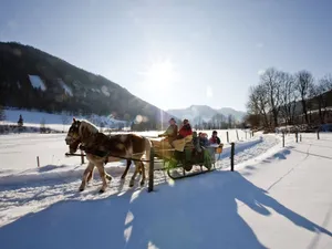 Image of Cosy Chalet in Stadl an der Mur With Valley Views