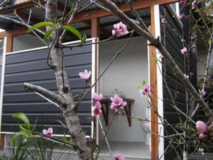 Image of The Tree House, 6 Gowing Street