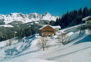 Image of Fesengut