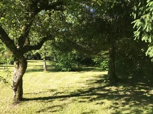 Image of Holiday Home Drugeac