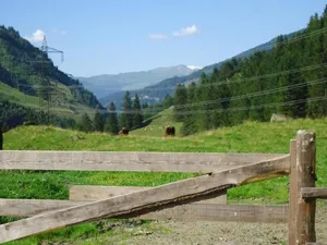 Image of Appartement Einödberg