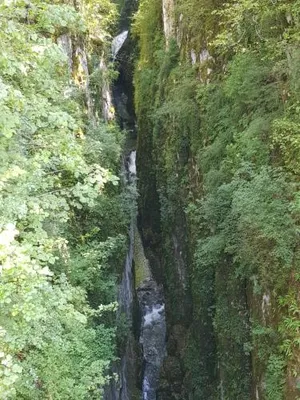 Image of Les Morillons