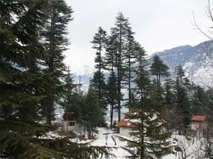 Image of Hotel Greenfields