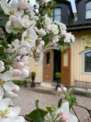 Image of Runnvikens Pensionat