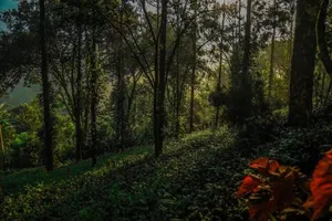 Image of Southern Panorama Indriya Resorts & Spa