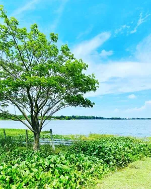 Image of Lake View Cottage