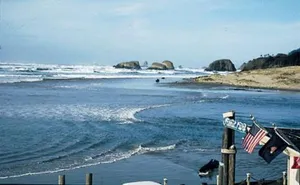 Image of Webb's Scenic Surf