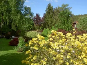 Image of Pension Waldesblick